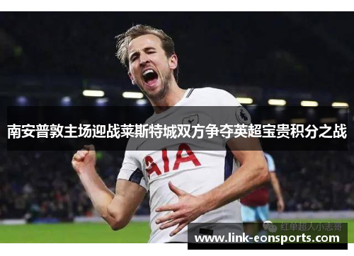 南安普敦主场迎战莱斯特城双方争夺英超宝贵积分之战