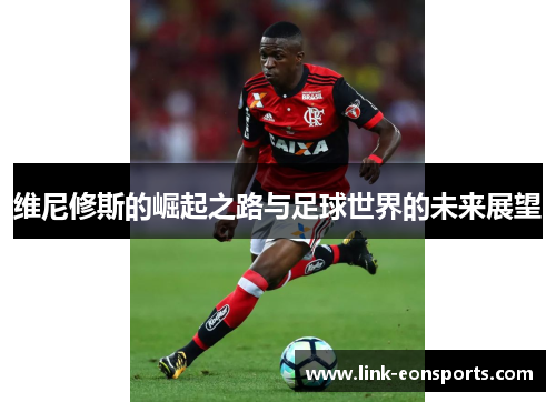 维尼修斯的崛起之路与足球世界的未来展望