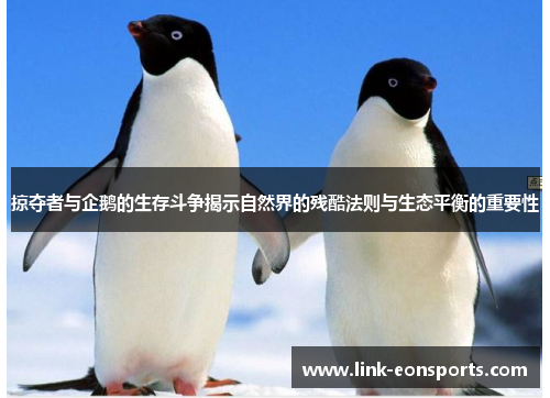 掠夺者与企鹅的生存斗争揭示自然界的残酷法则与生态平衡的重要性