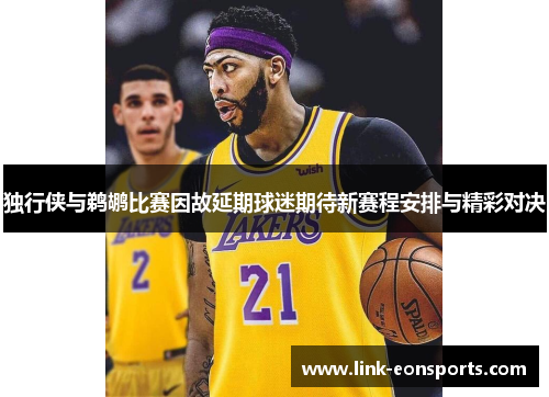 独行侠与鹈鹕比赛因故延期球迷期待新赛程安排与精彩对决